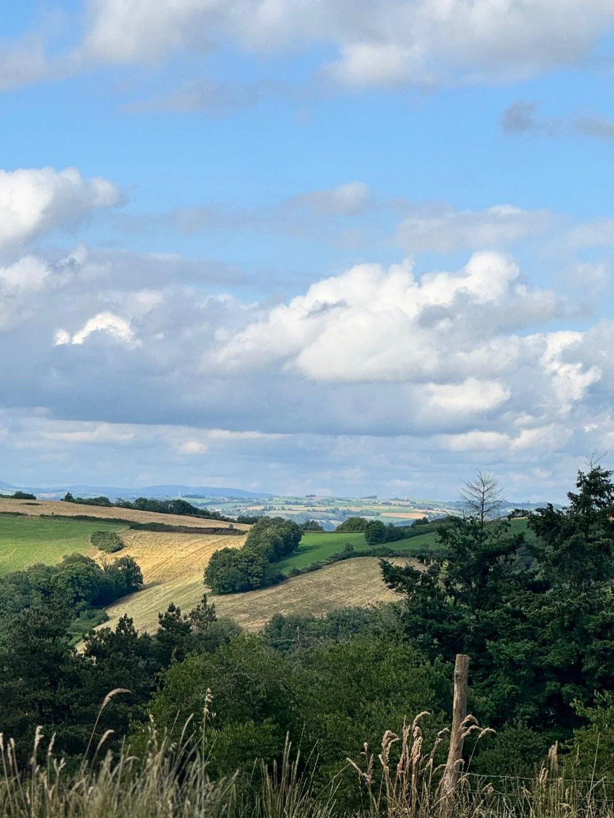 Paysage rural avec collines verdoyantes, arbres, herbe, et ciel partiellement nuageux.