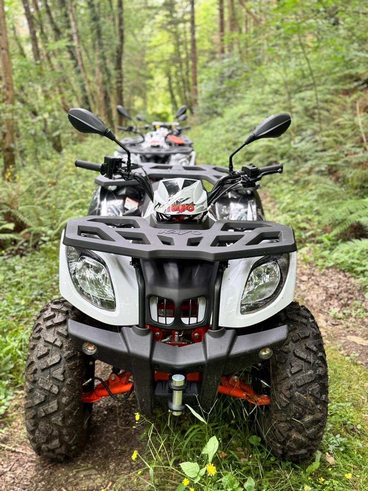 Quad image in a forest with trees and green foliage.