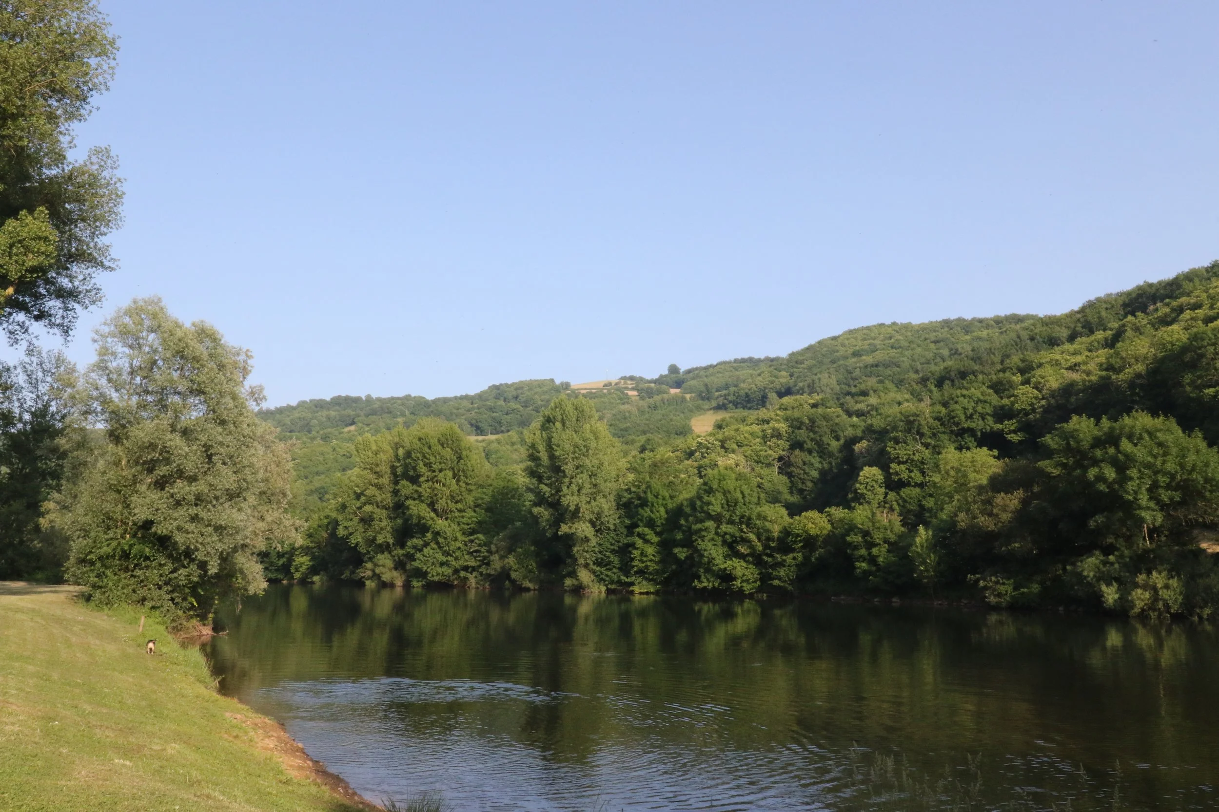Une rivière bordée d'arbres verts avec des collines verdoyantes en arrière-plan et un ciel clair.