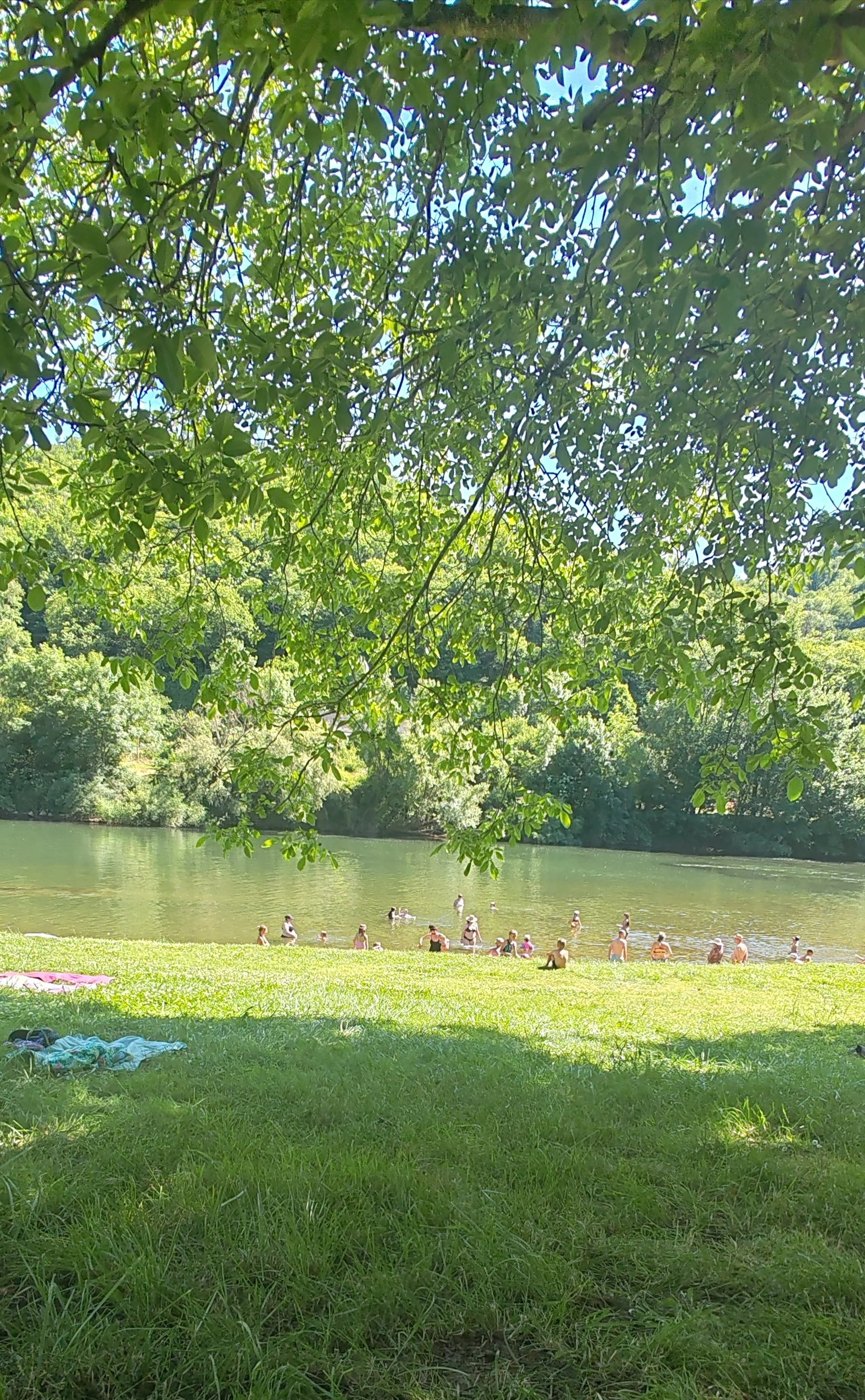 Groupe de personnes nageant et se relaxant près d'un lac, avec des arbres et un ciel ensoleillé en arrière-plan.