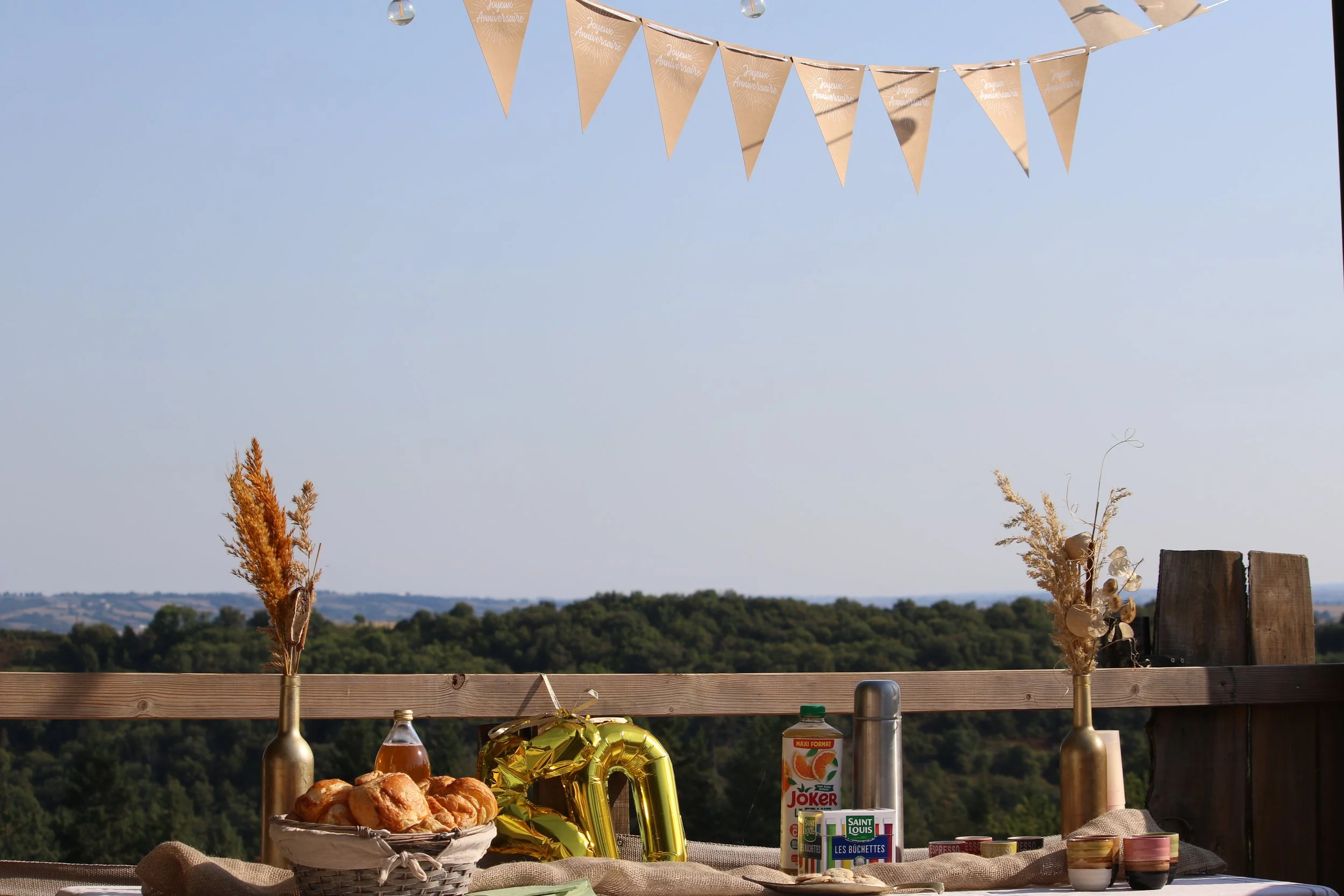 Décor d'une fête en plein air avec des ballons, fleurs dans des vases, nourriture, et guirlandes dans un paysage rural.
