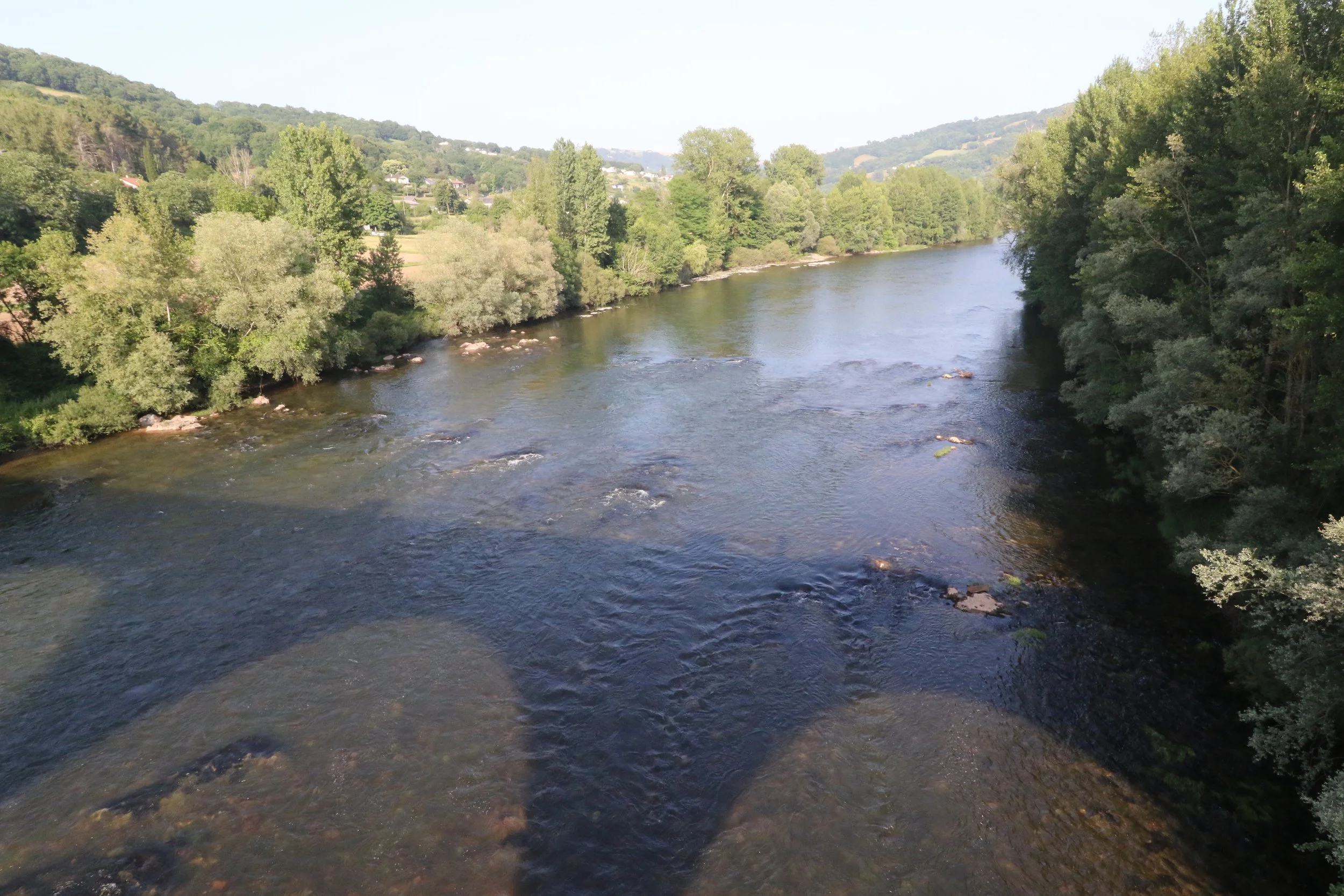 Vue d'une rivière bordée d'arbres verts, sous un ciel clair, avec des collines en arrière-plan.