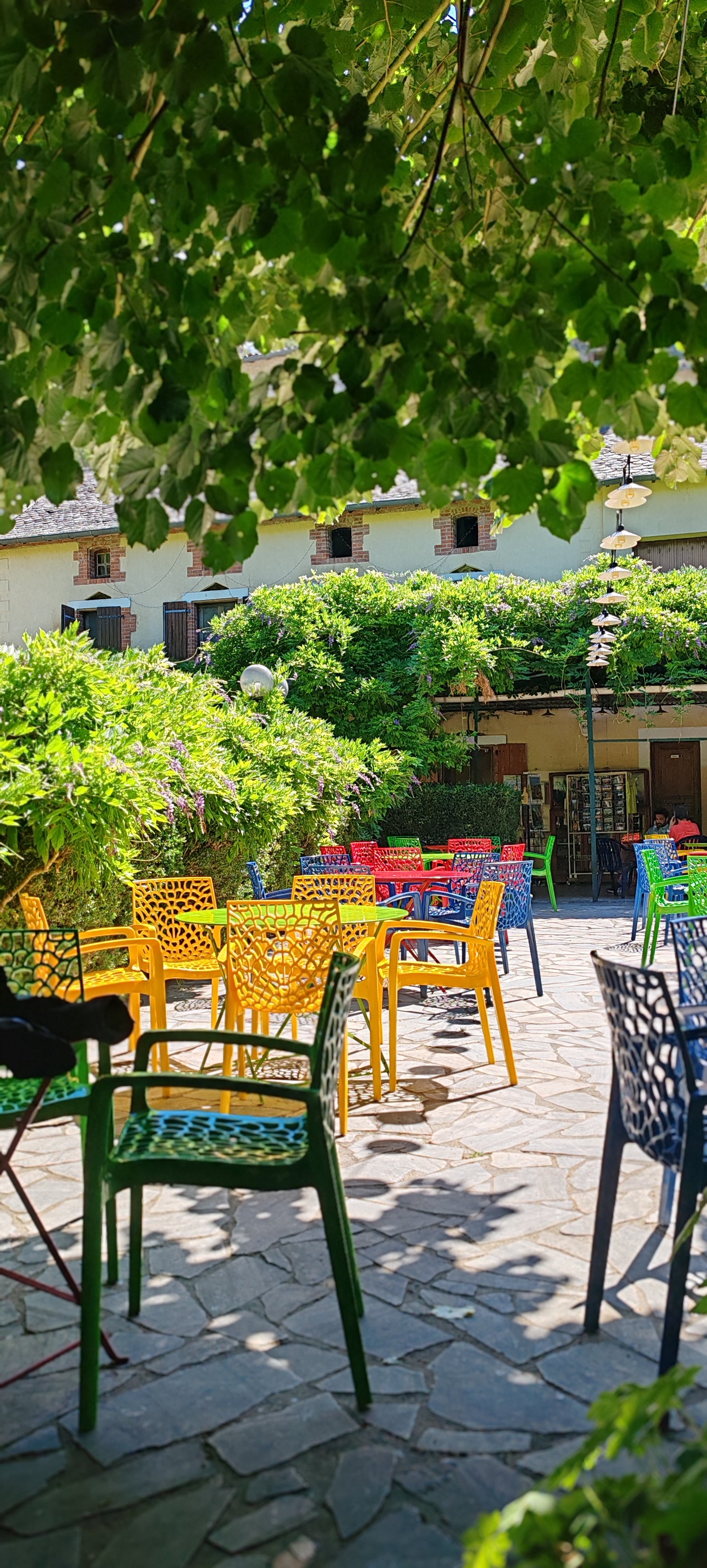 Un patio extérieur avec des chaises colorées (jaune, vert, rouge, bleu) entourant des tables, sous un arbre feuillu. En arrière-plan, une maison avec des fenêtres à volets en bois et un mur en pierre. La scène est en plein jour, avec des jeux d'ombre