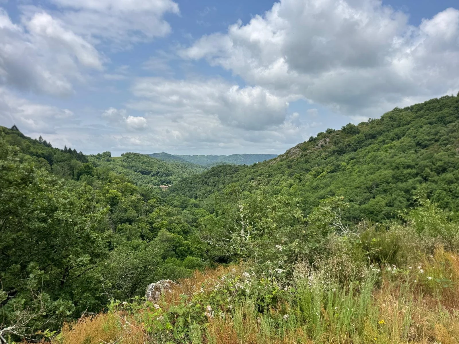 Paysage montagneux verdoyant avec des collines recouvertes d'arbres, ciel nuageux avec quelques rayons de soleil.