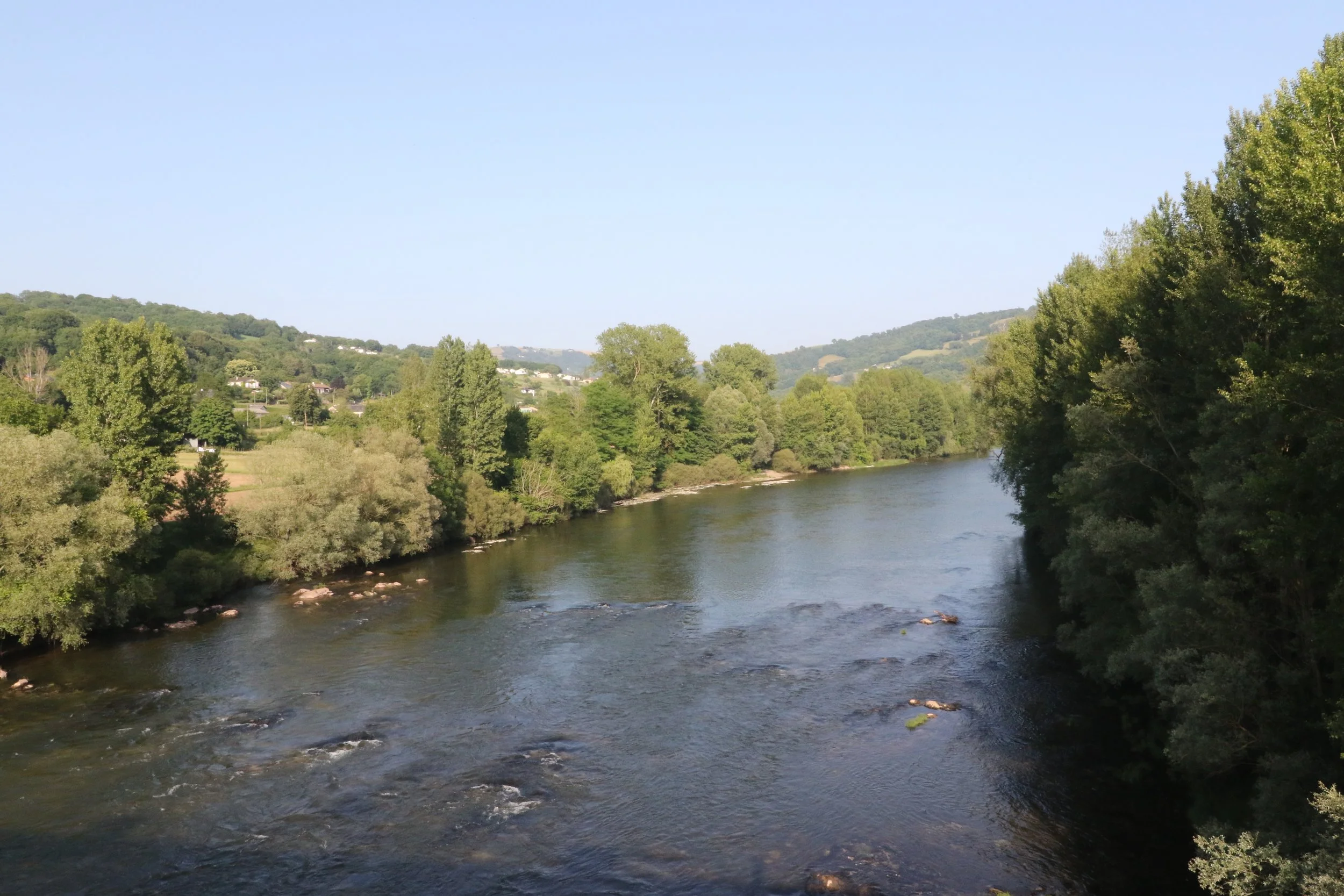 Rivière entourée d'arbres verts sous un ciel clair, avec des collines en arrière-plan.