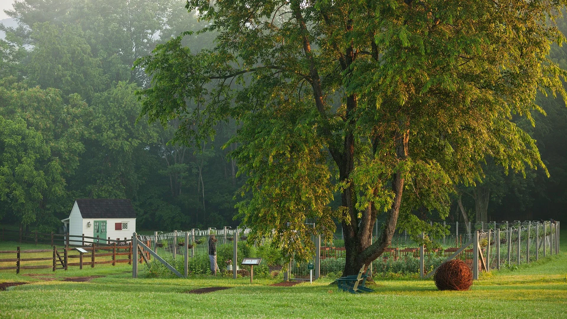 The MICHELIN Guide—The Inn at Little Washington: Rewriting American Cuisine with Sustainability and Self-Sufficiency