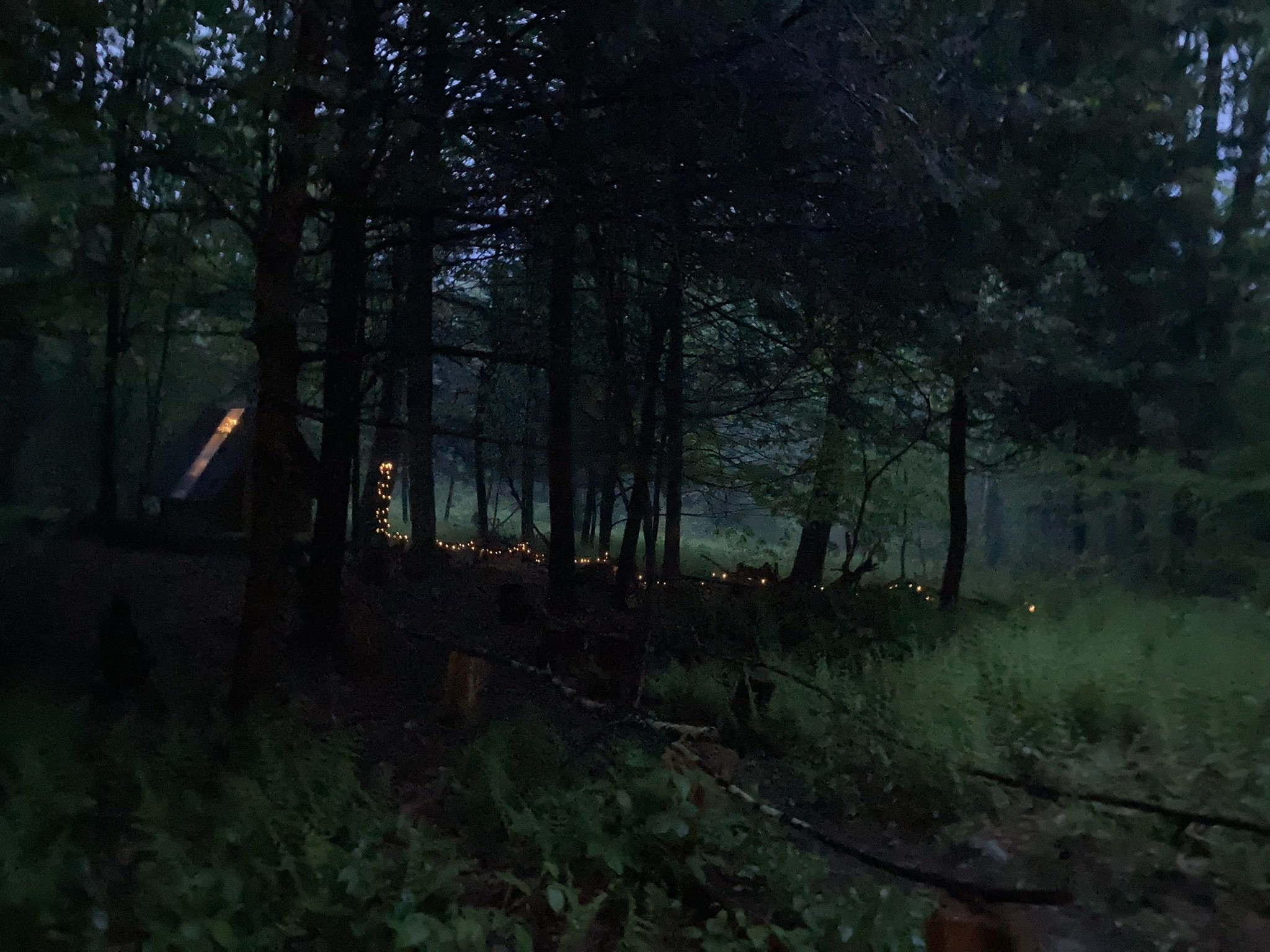 Fairy Lights at the Cabin