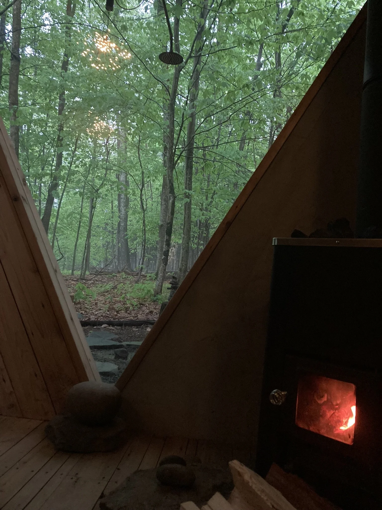 Sauna with a Forest View