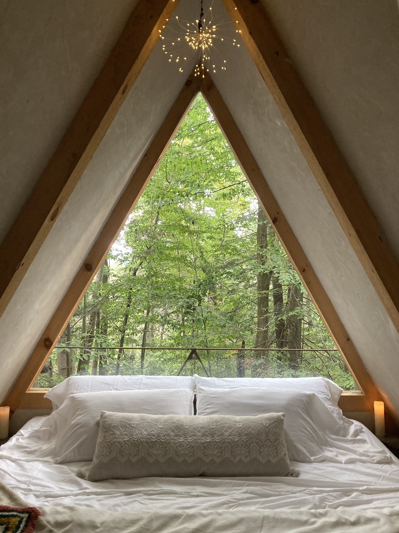 Spring Forest Camping