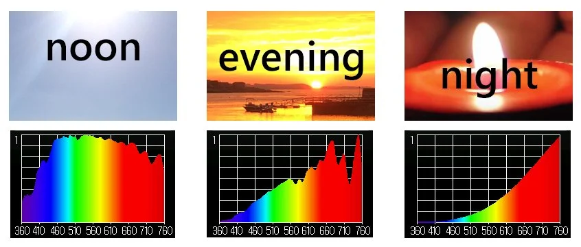 The Psychology of Cyan: How Artificial Light Is Rewriting Memory
