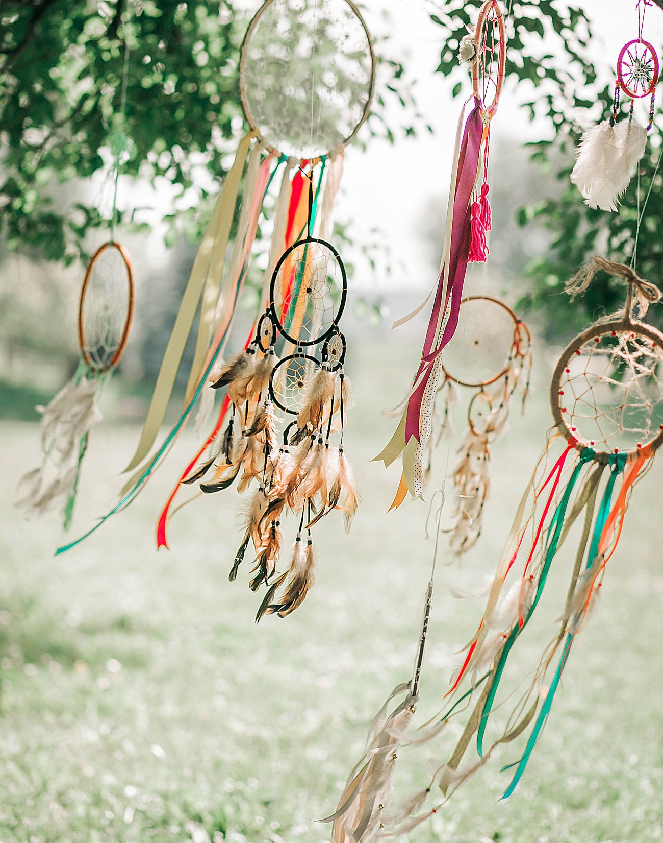 Colorful dreamcatchers hanging from a tree in an outdoor setting.