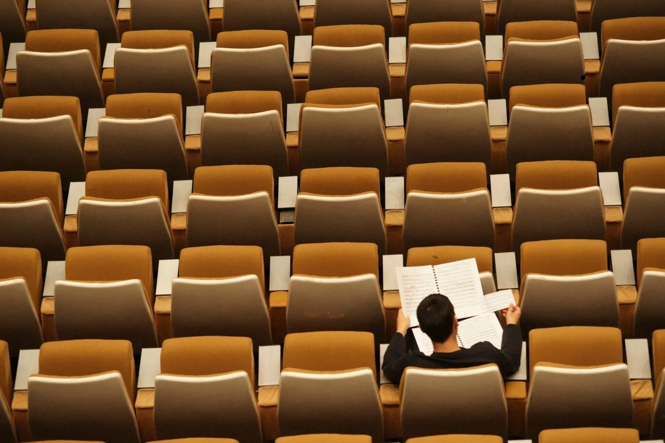 Student studying English using bespoke strategies