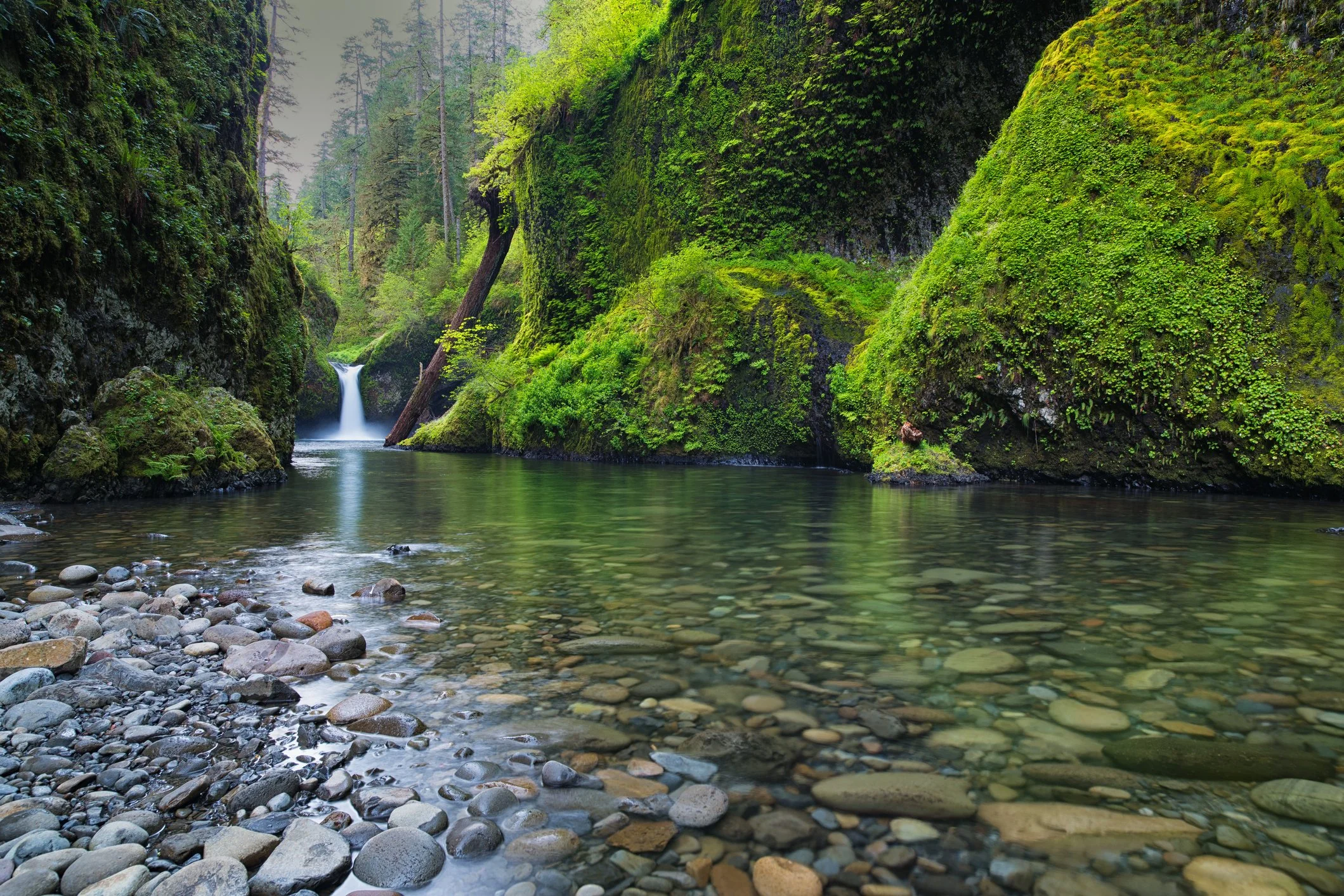 A lush green canyon with moss-covered cliffs on either side. In the center, a small waterfall flows into a calm river with a rocky shoreline.