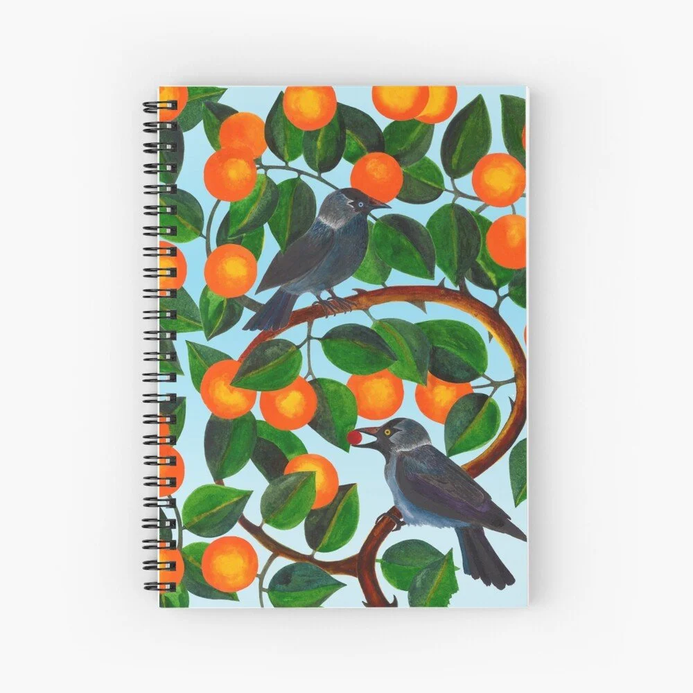 jackdaws notebook.jpg