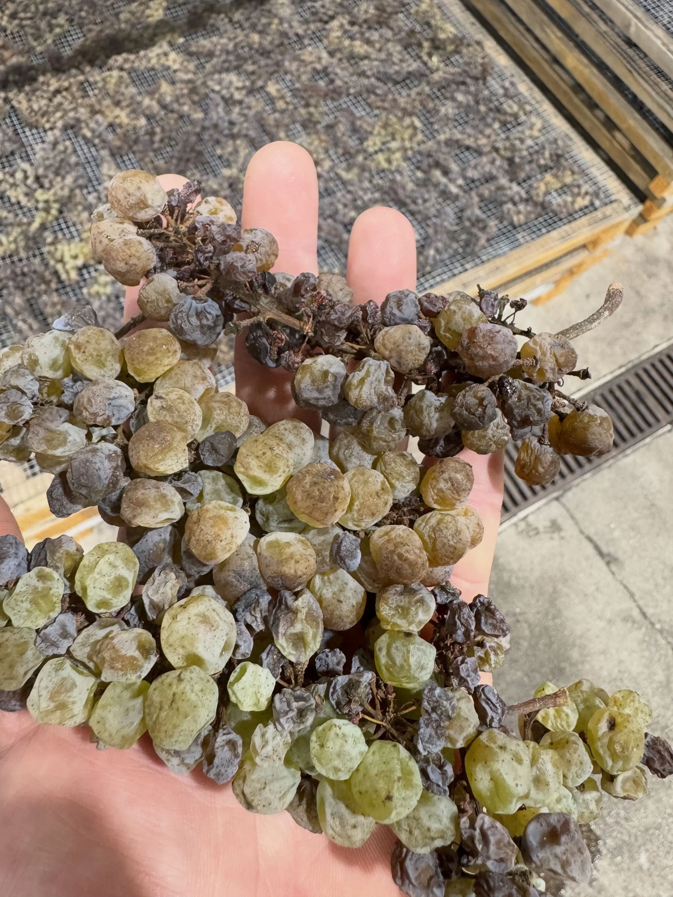 The Quiet Turn of the Season