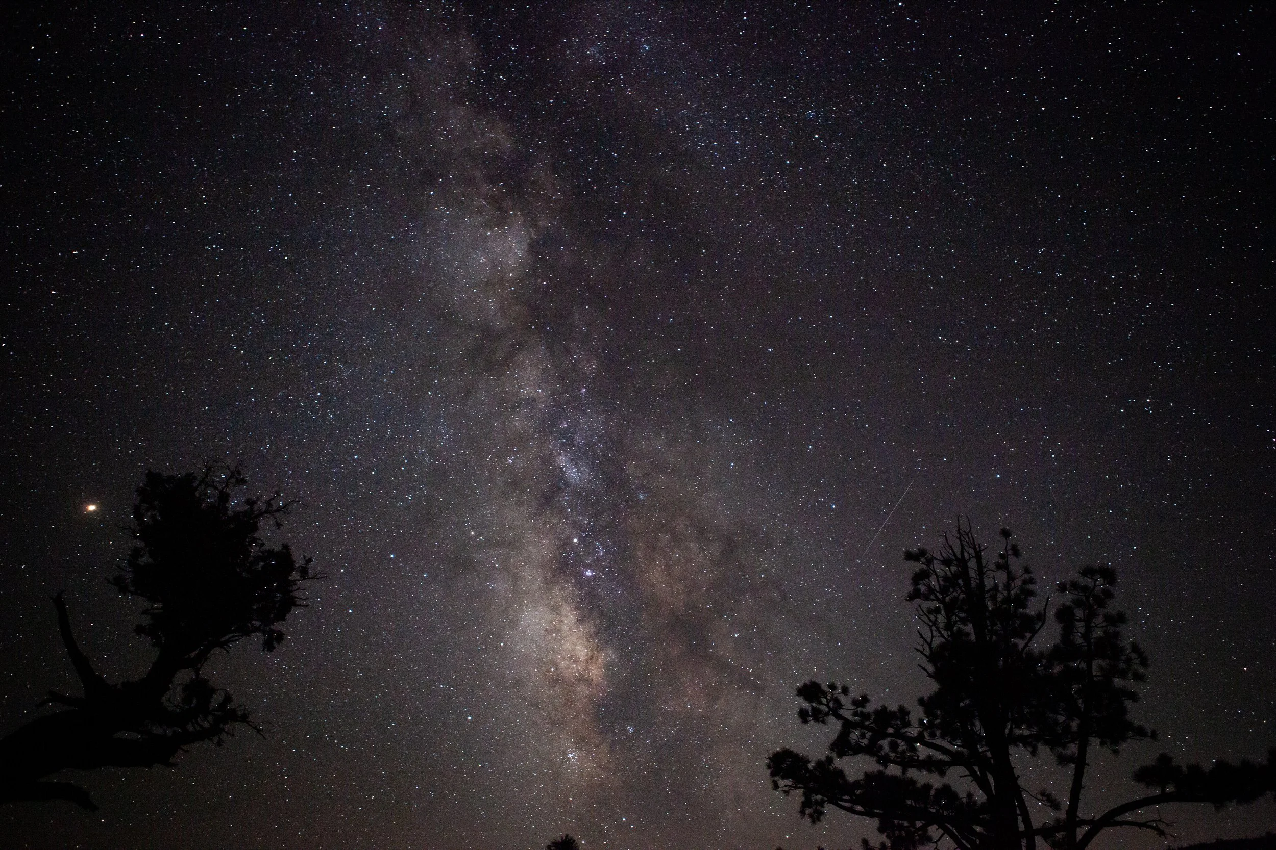 kings canyon stars-2.jpg