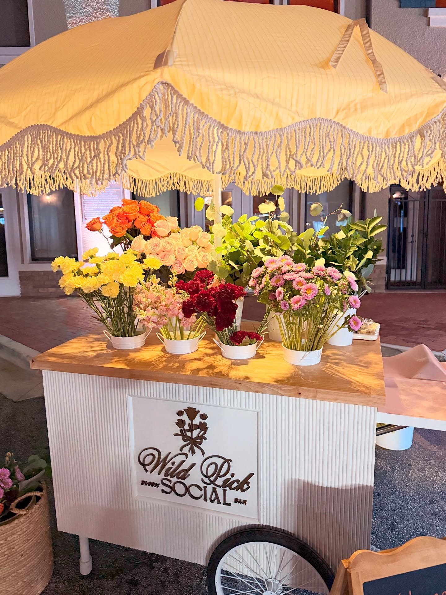 Our first festival was so fun! Great entertainment, weather, and friendly people. Can&rsquo;t wait to do it again next year 🤎