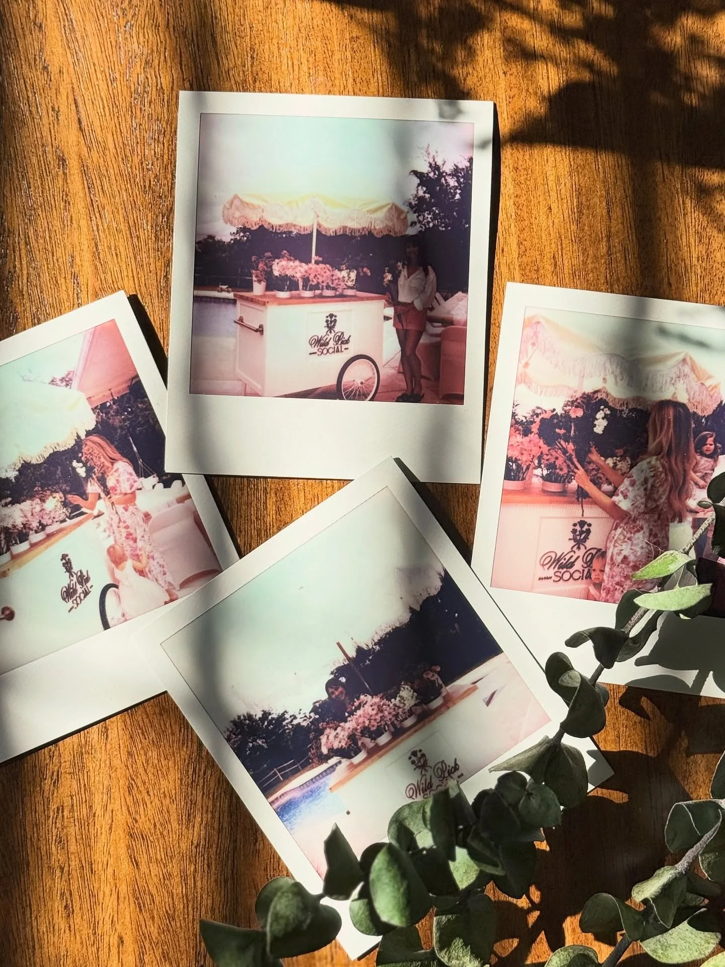 Thinking about adding Polaroids to event packages 📸 🌷