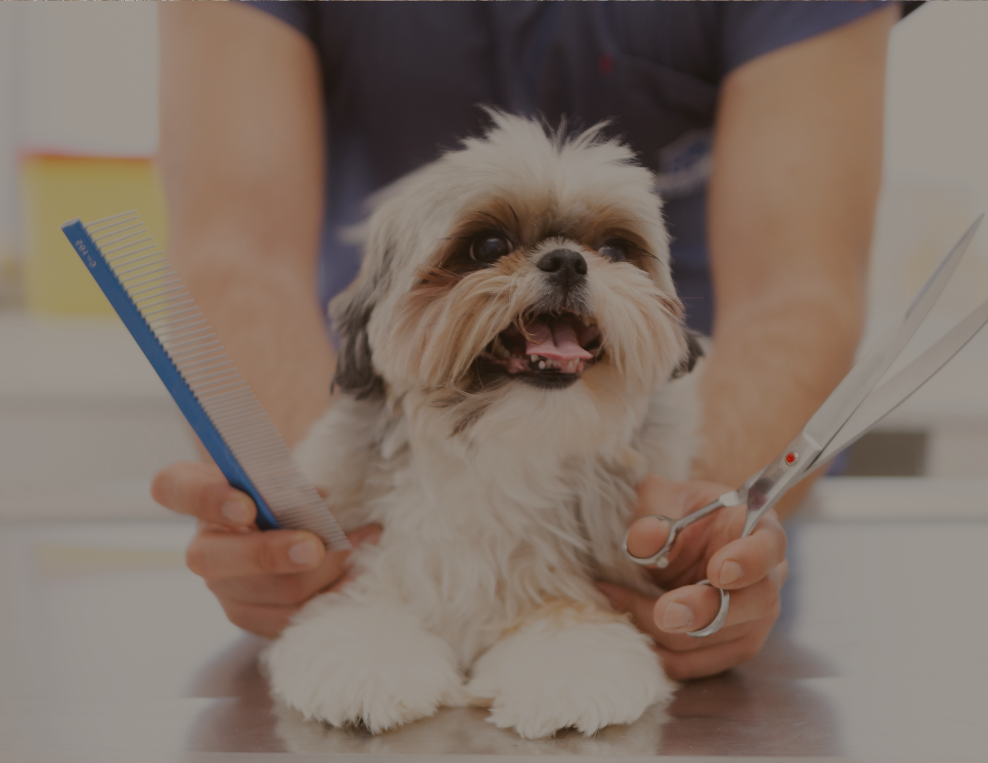 Pawphoria Grooming and Pet Market