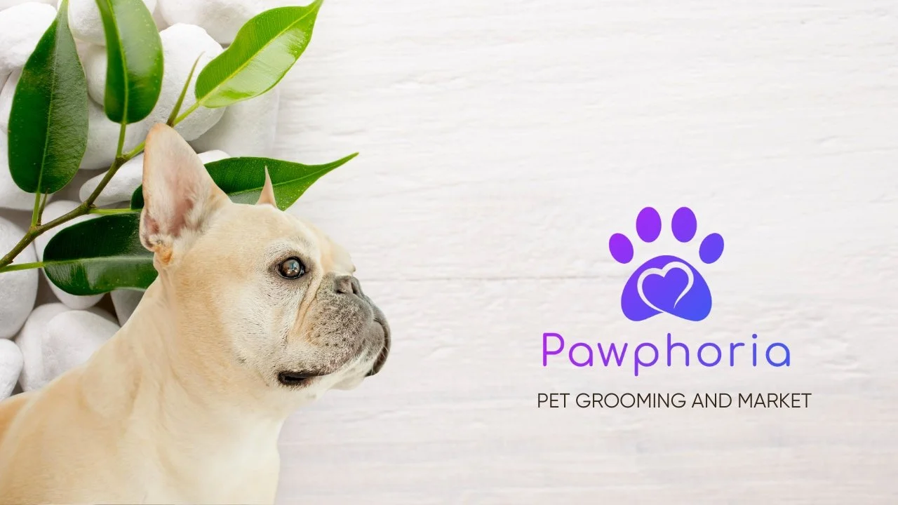 Pawphoria Grooming and Pet Market