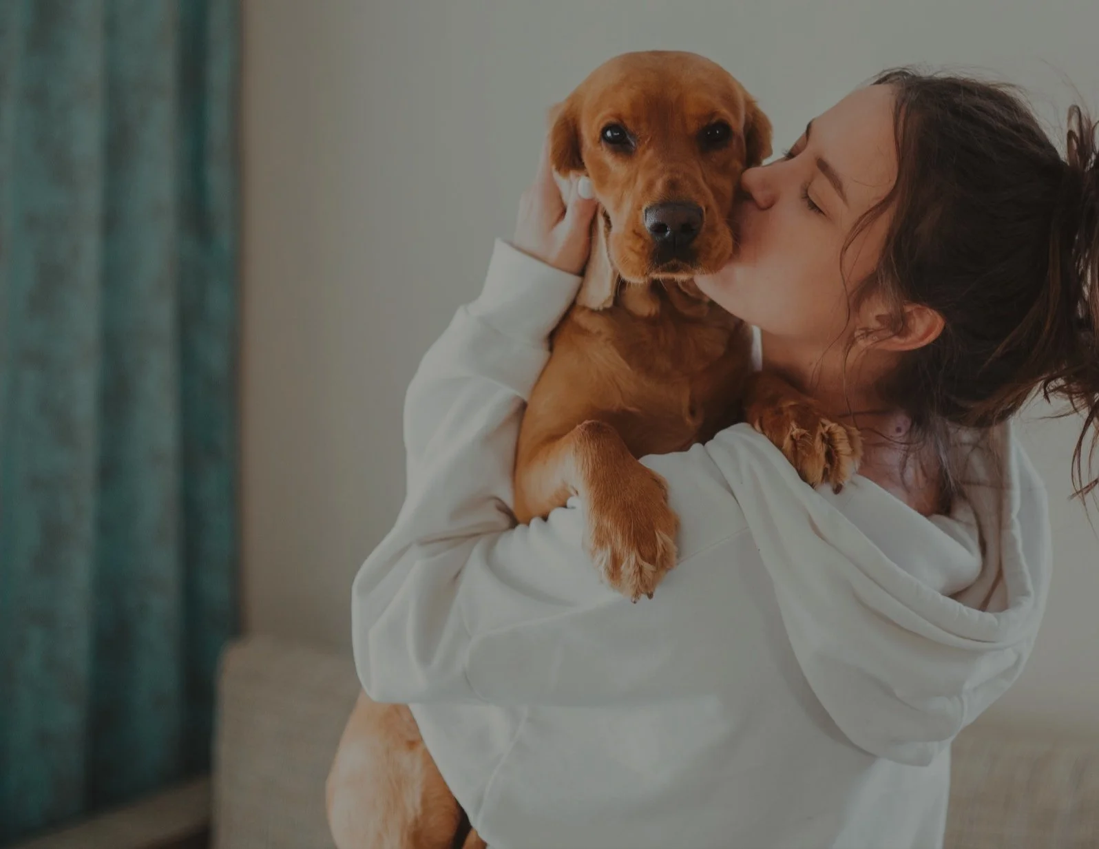 Pawphoria Grooming and Pet Market