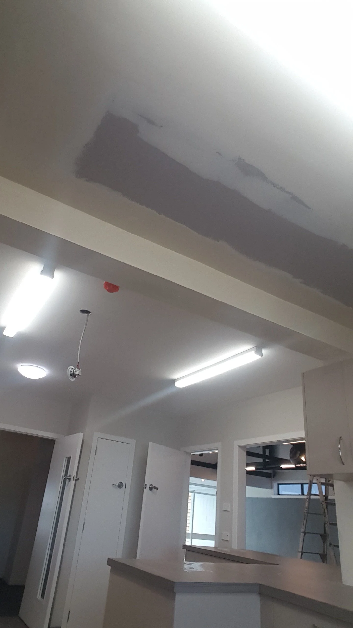 Water damage repair. Plaster repair