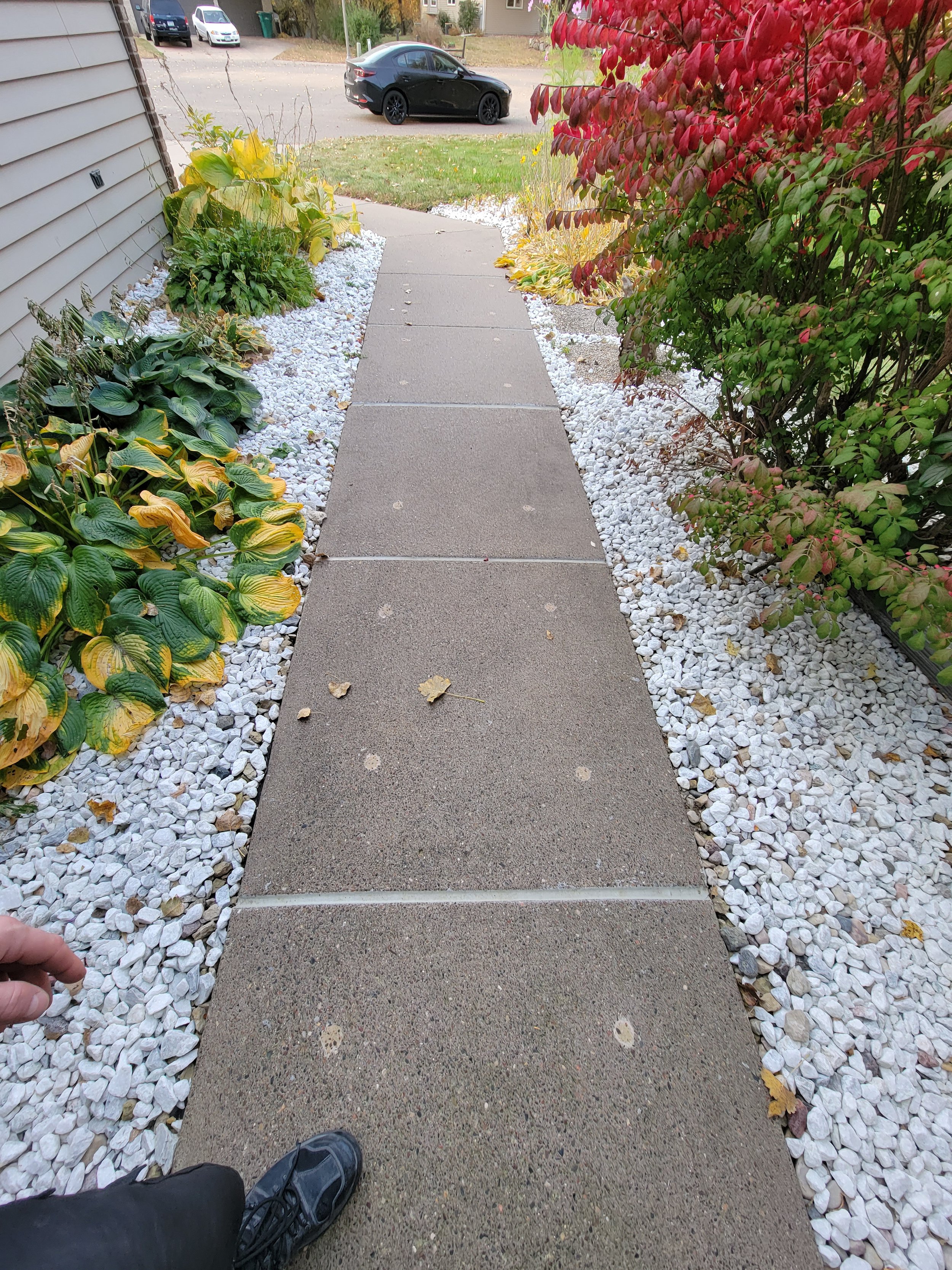 20241021_170848.jpg