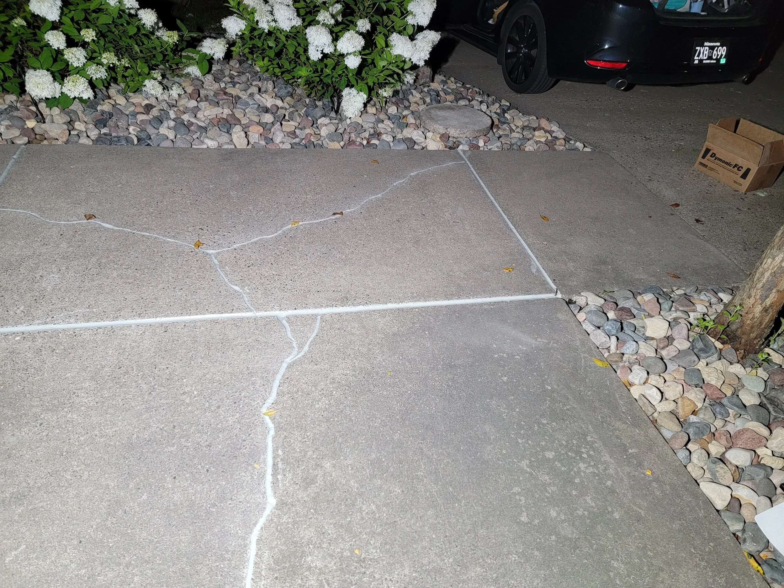 20240809_032804.jpg