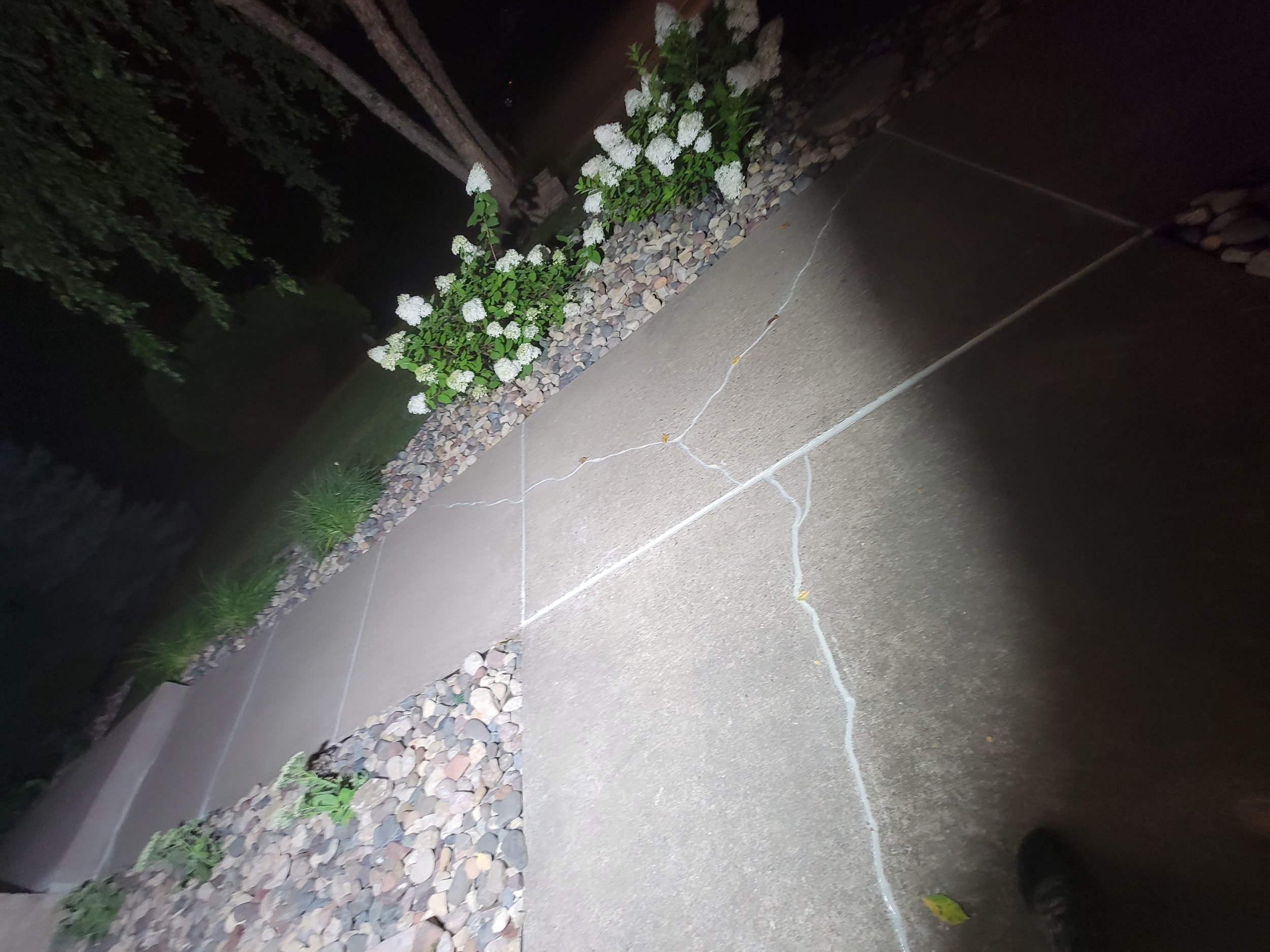 20240809_032823.jpg