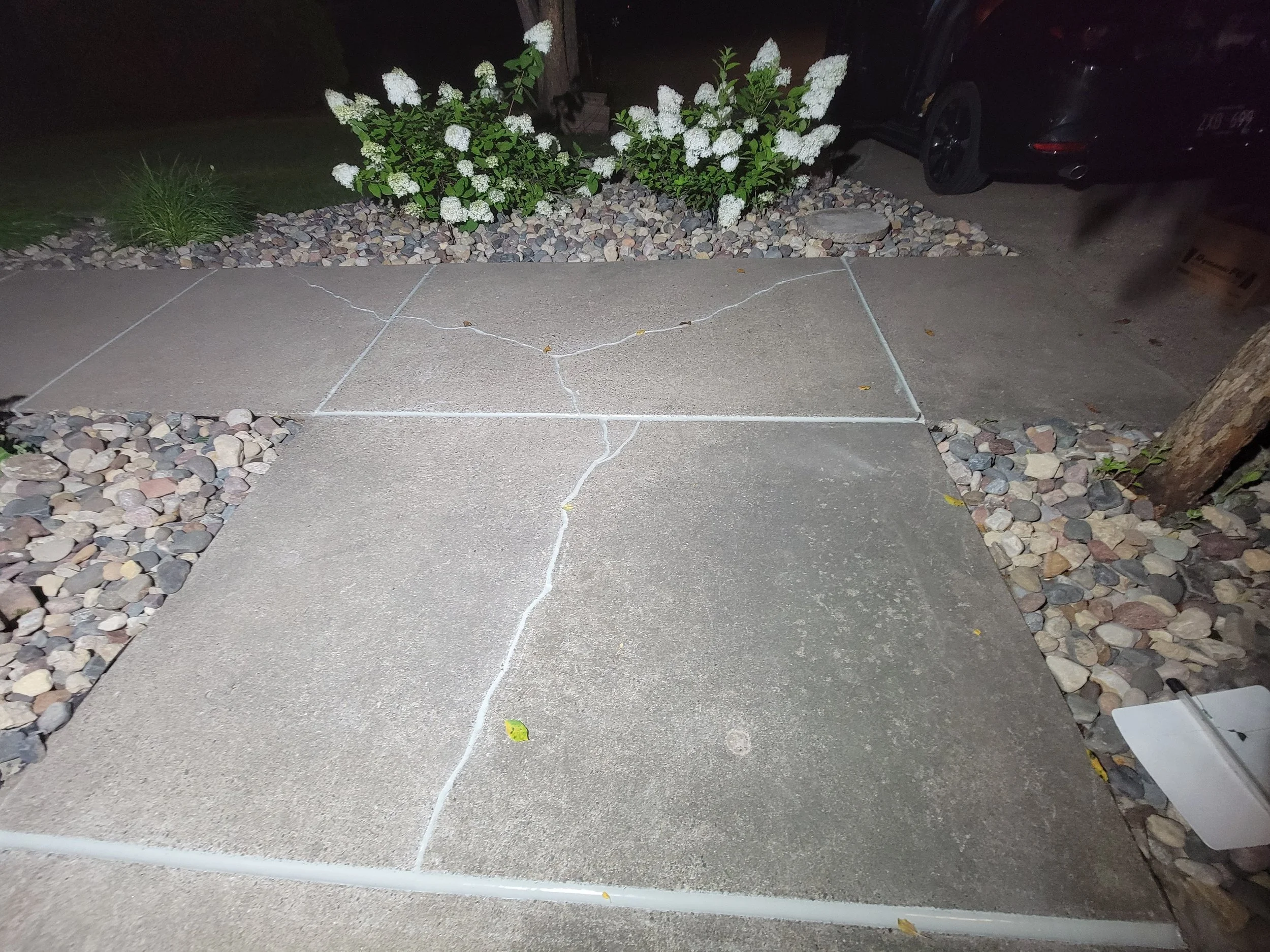 20240809_032819.jpg