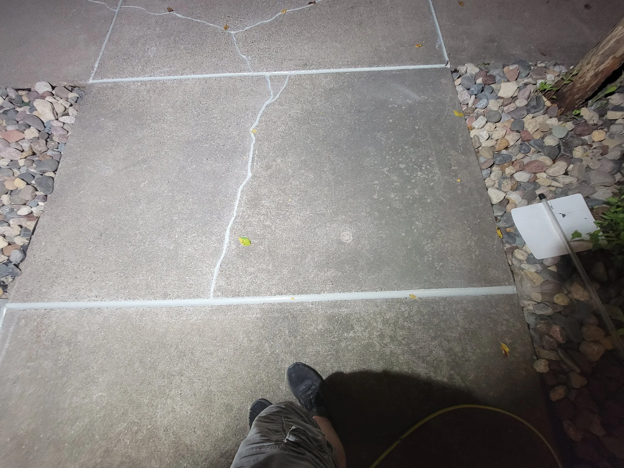 20240809_032818.jpg