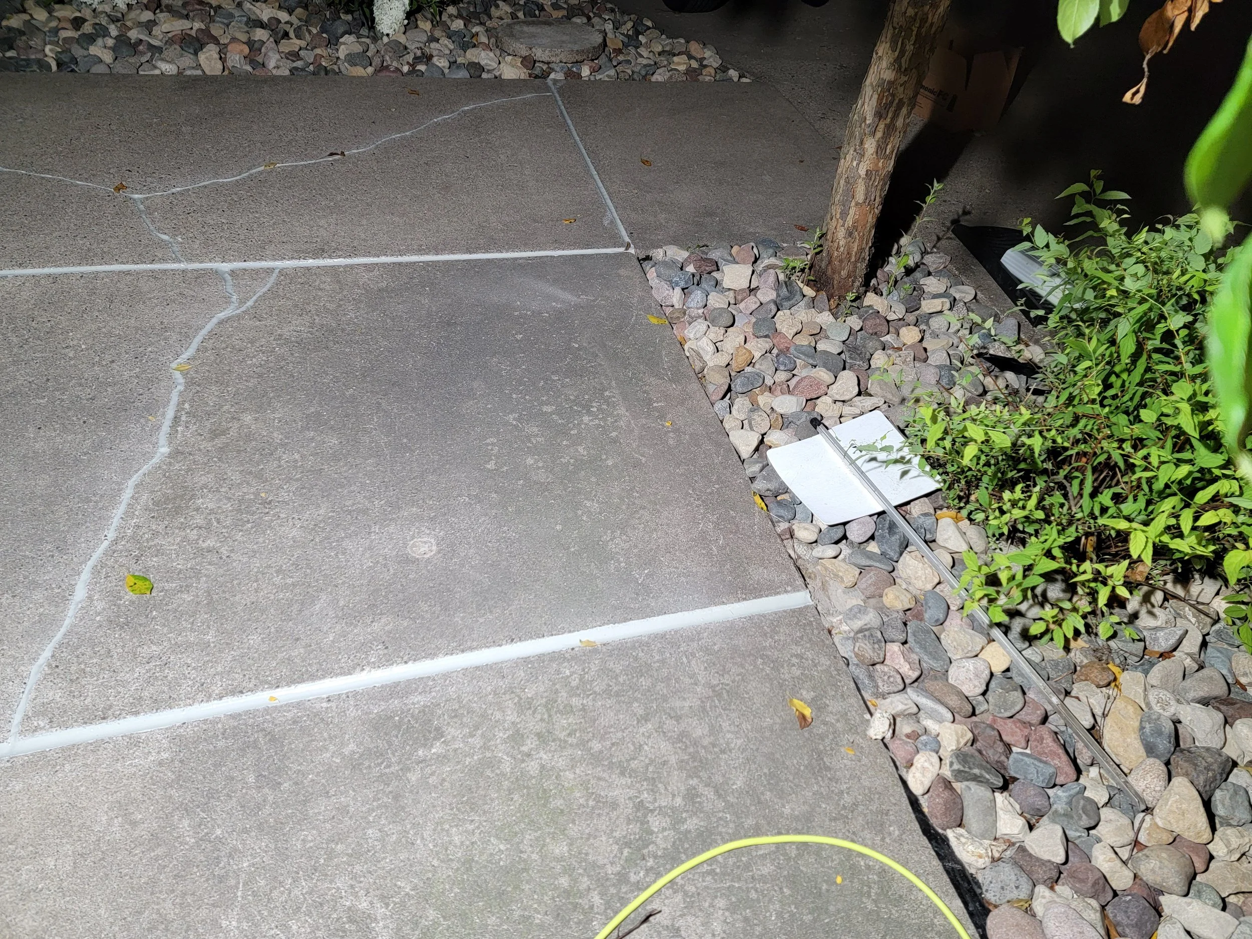 20240809_032758.jpg