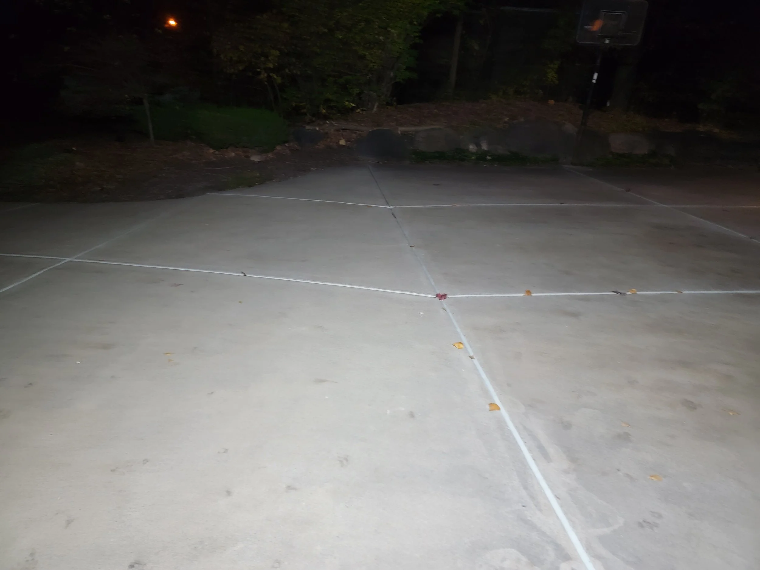20241102_232310.jpg