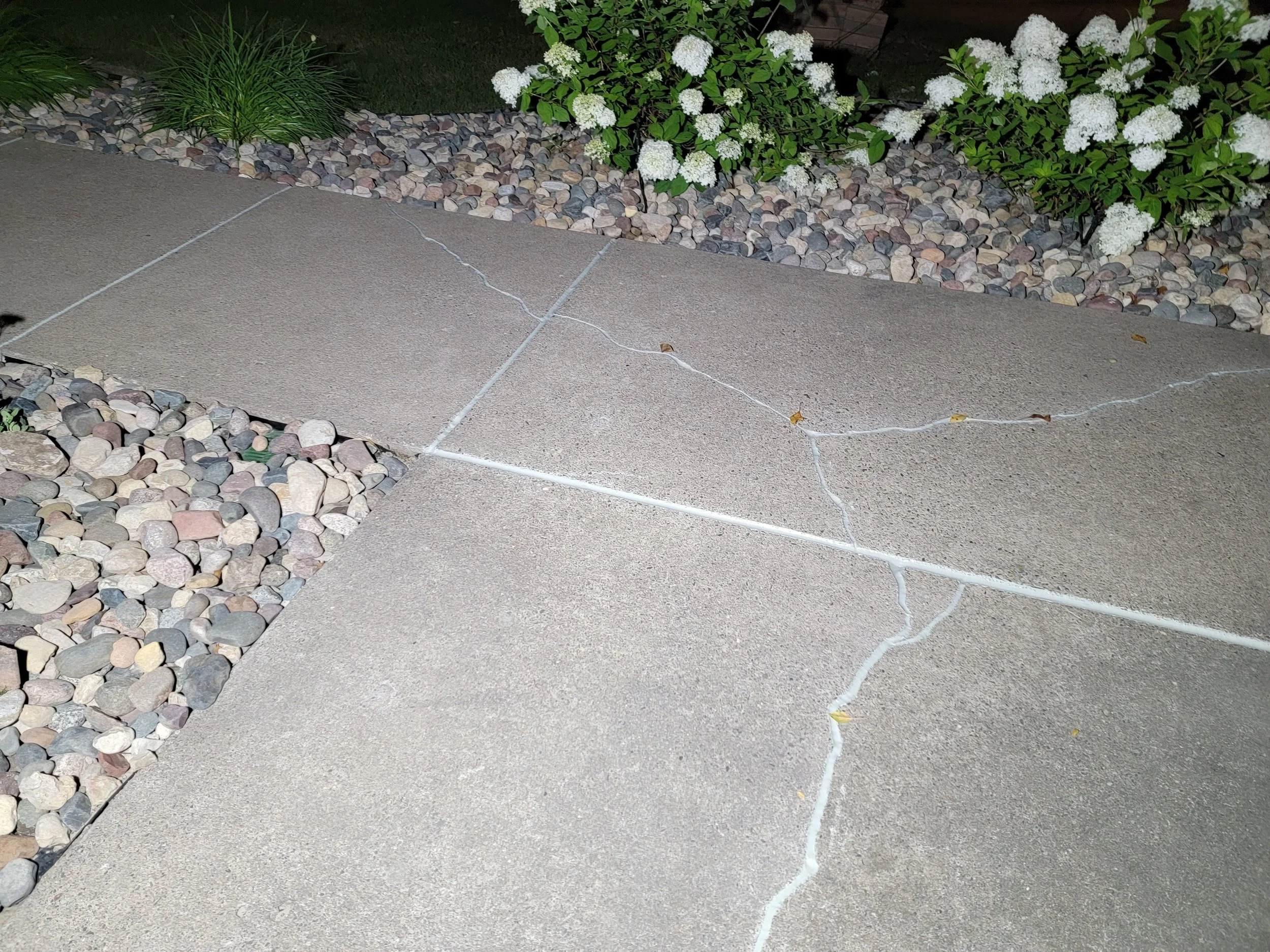 20240809_032806.jpg
