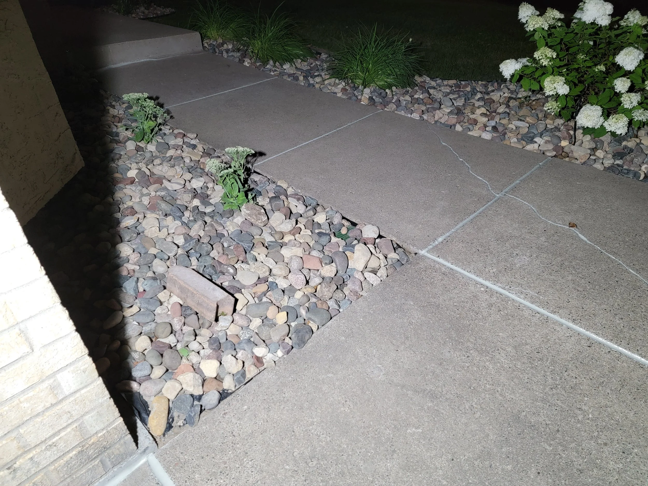 20240809_032807.jpg