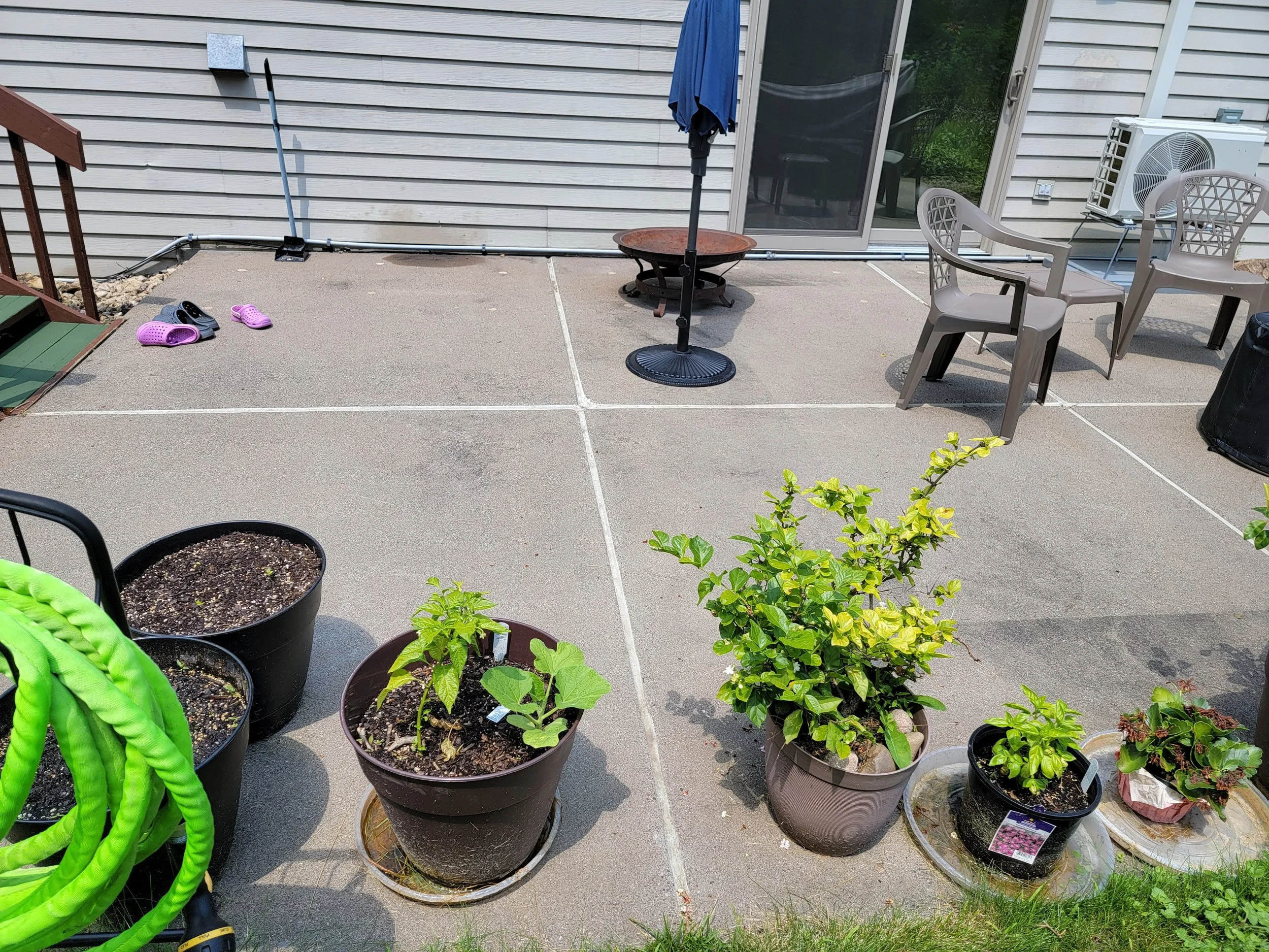 20240711_131331.jpg