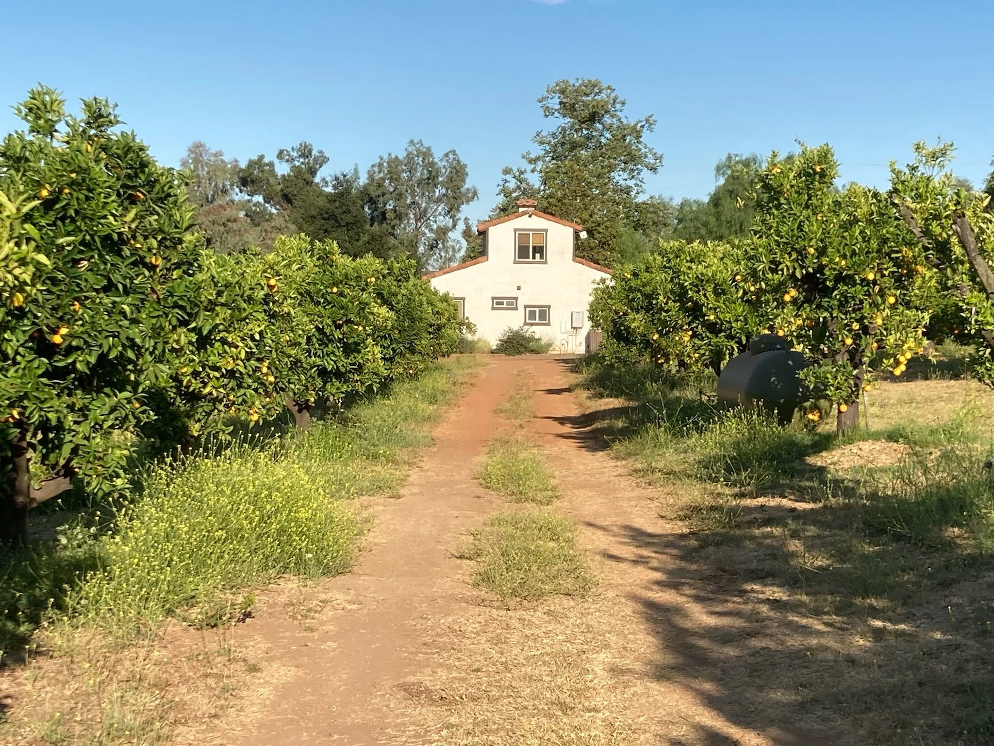 Wellness Bachelorette Guide: Best San Diego Retreat, Pilates &amp; Farm Stay