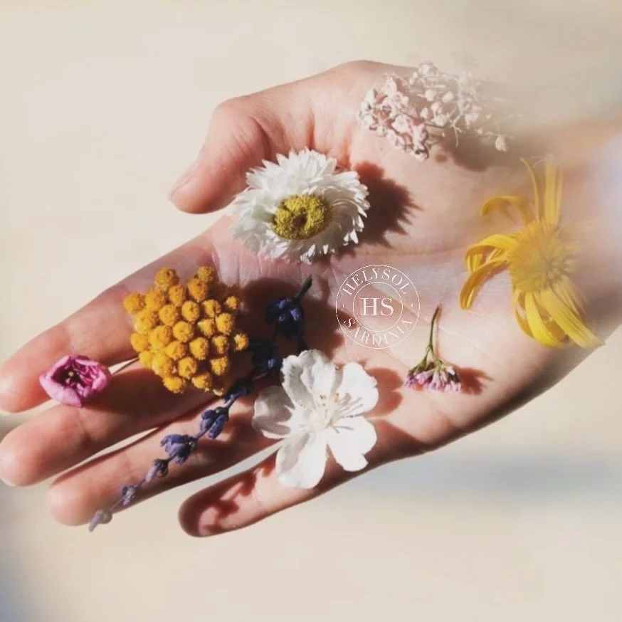 L’amore per la natura è il nostro ingrediente principale. 🌾💐🥀🪻🌼Scopri tutti i benefici degl.jpg