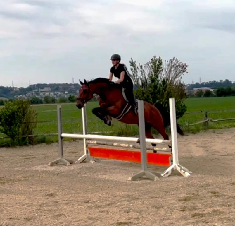 Screenshot 2025-06-12 174404.jpg