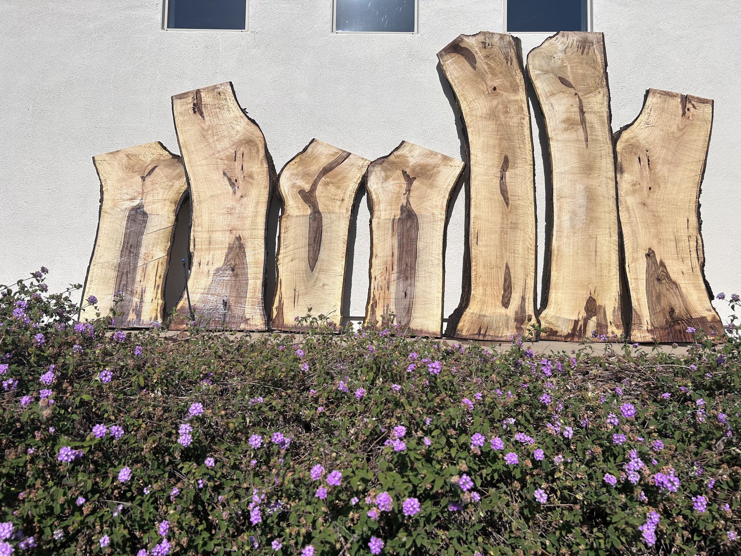 Live edge slabs