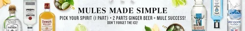 BUSA_3146355_Portfolio_QuarantineCocktails_FY21_Ginger_375mL_1350x175_401.webp