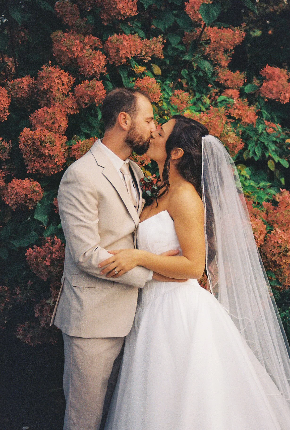 A bride and groom are kissing in front of a bush with pink flowers, dressed in wedding attire. The bride is in a strapless basque waist white gown with a veil, and the groom is in a light-colored suit.