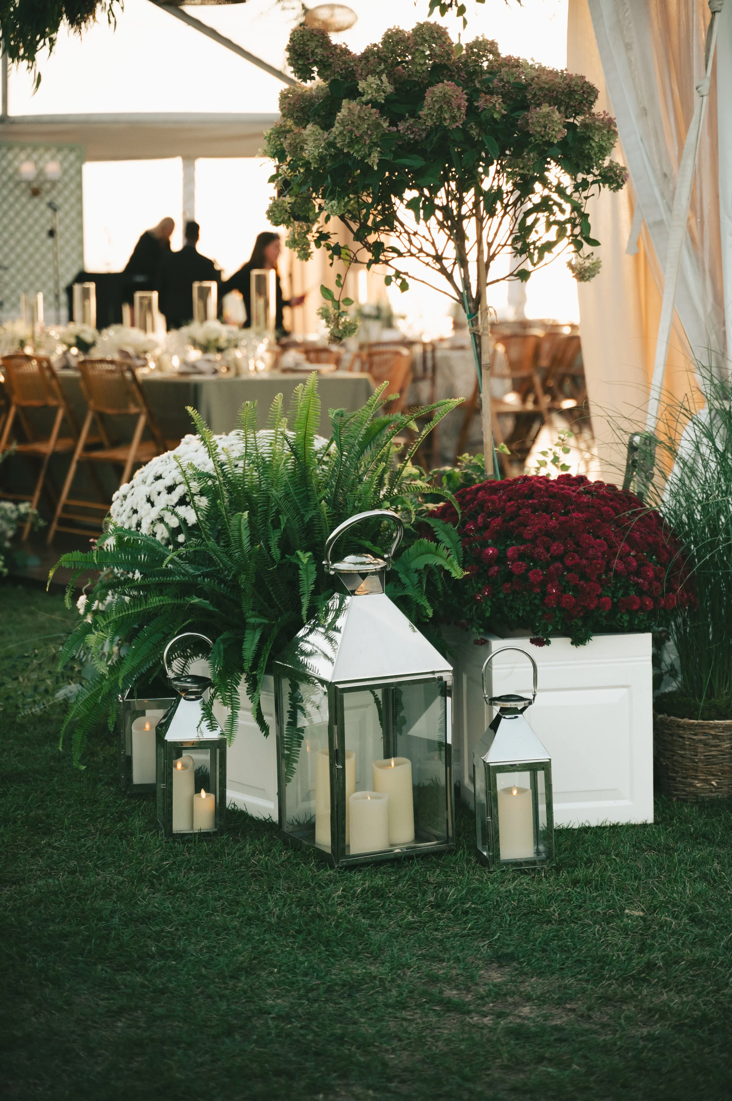 jenemilio (27 of 51).jpg