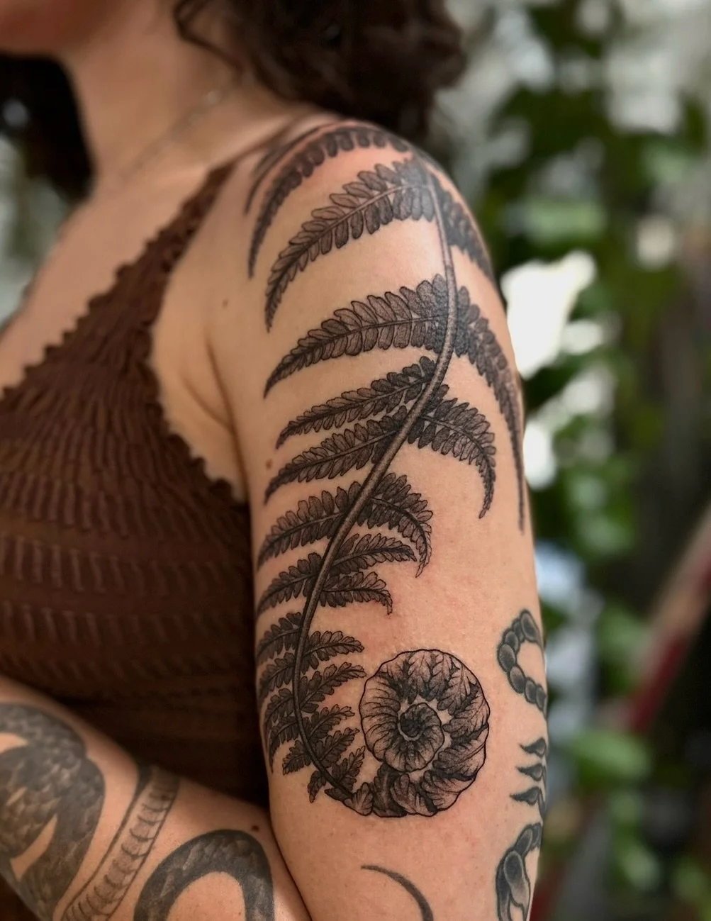 ~π΅πππππ’π ππππ~
There’s so much magic in the spiral and if you look closely you’ll find it everywhereπ±ππ
#fibonacci #ferntattoo #spiraltattoo