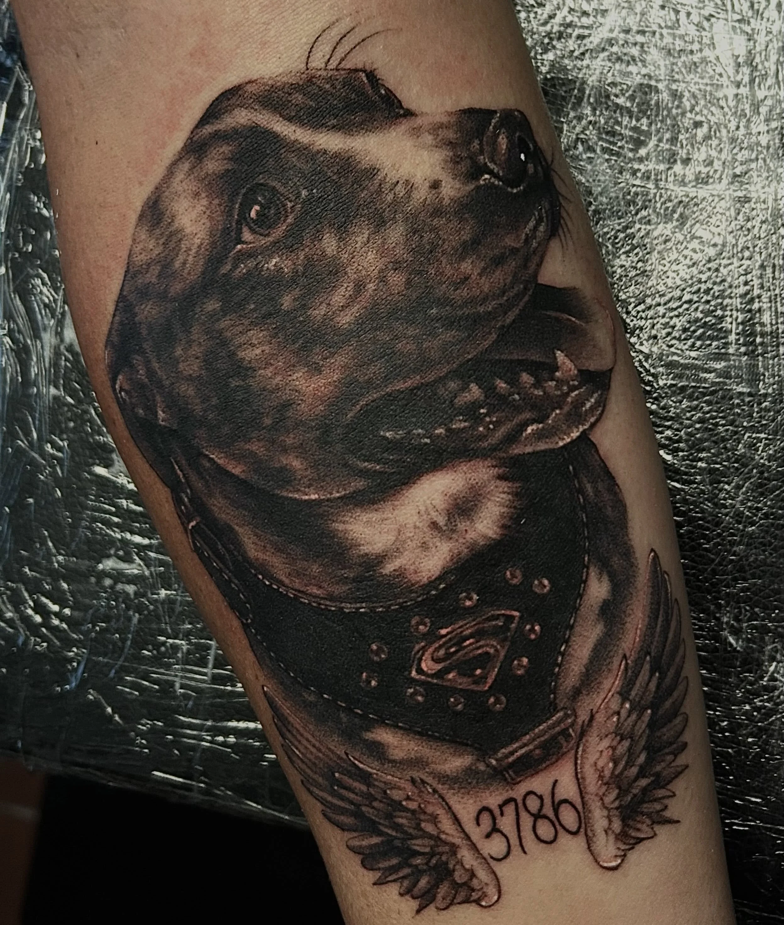 Honored to do this piece for you🫶🏽

So much love for our animal companions. Life is fuller in their presence😌