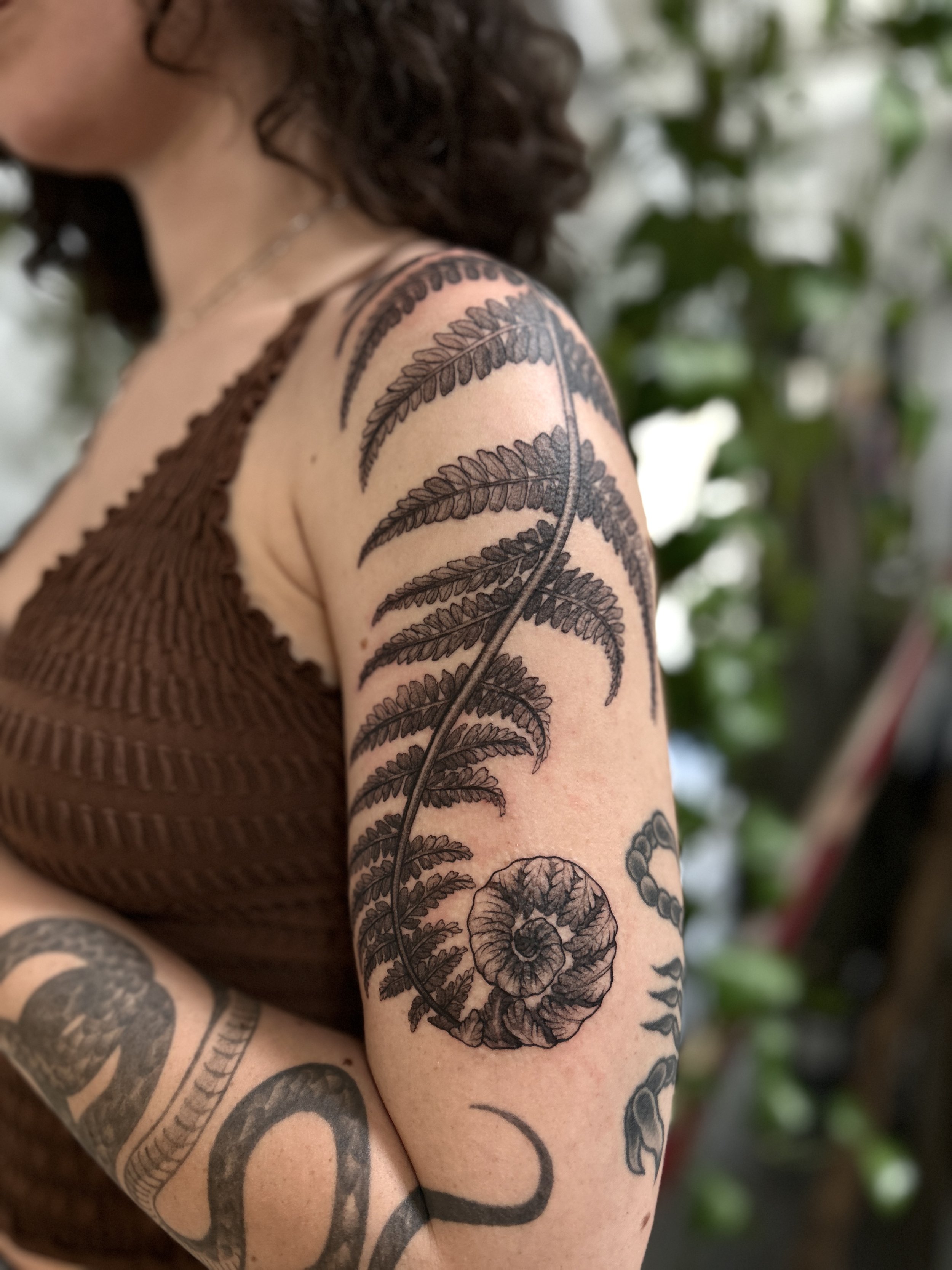 Fern tattoo by Arville Persons