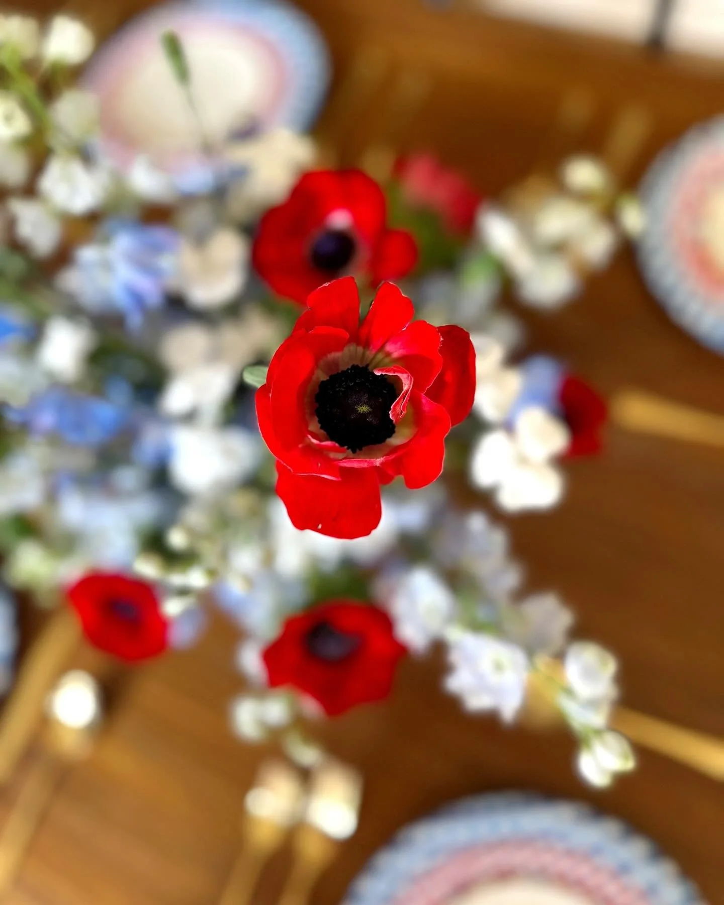 Red, white, and bloom! 🇺🇸
Created this festive Fourth of July arrangement to celebrate summer, freedom, and all things floral.
Perfect for the grill-side, poolside, or party table 
Let freedom ring&mdash;and let the florals pop!

#FourthOfJuly #Flo