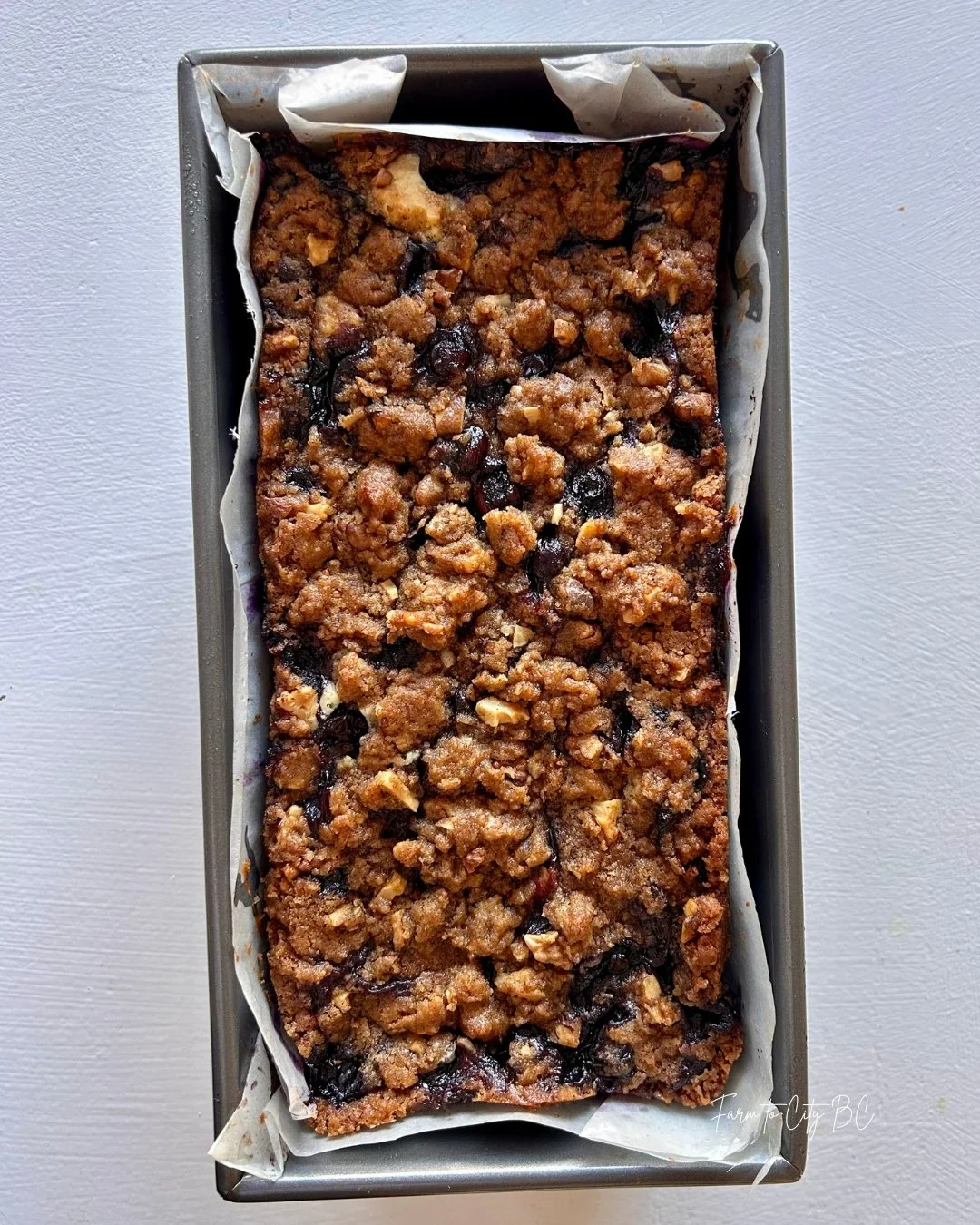 starling farm blueberry walnut coffee cake 5.jpg