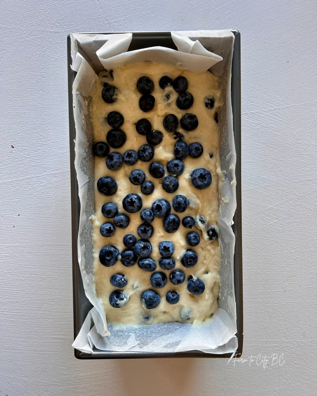 starling farm blueberry walnut coffee cake 6.jpg