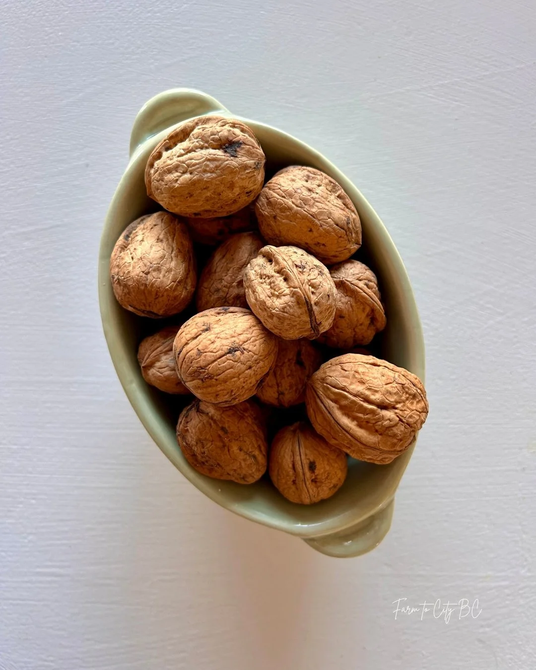 starling farm walnuts.jpg